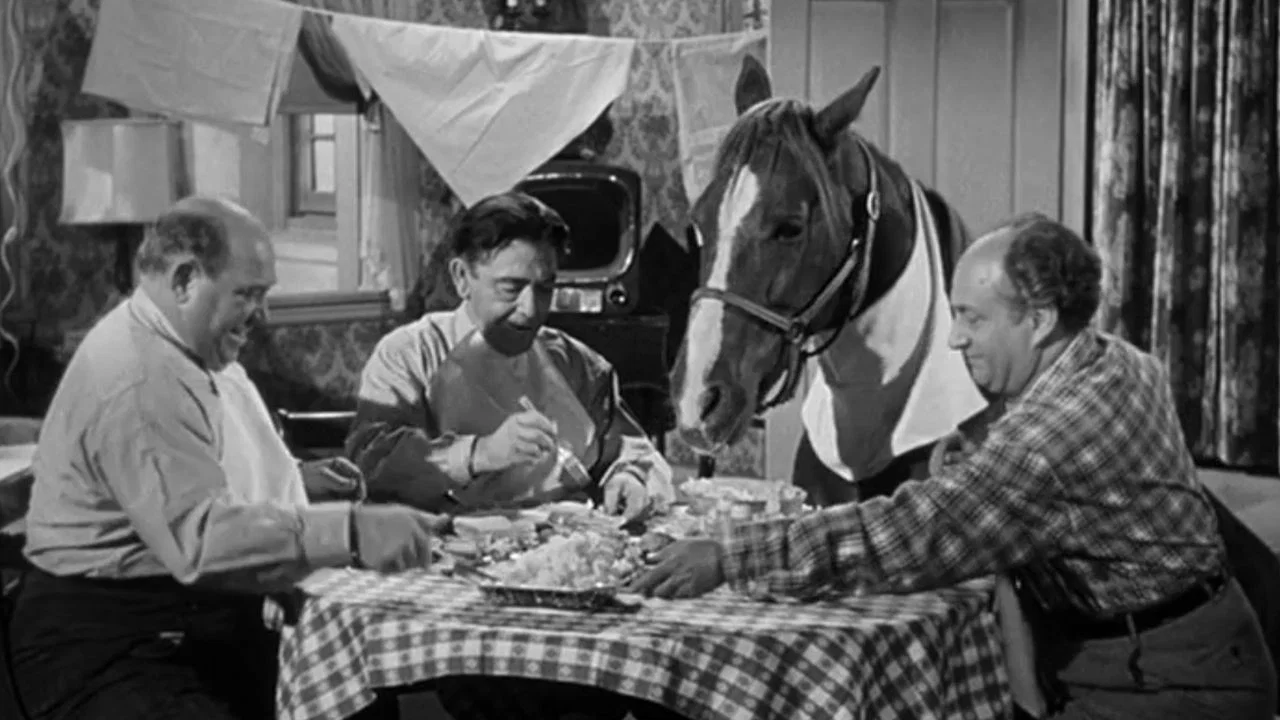Horsing Around - 剧照