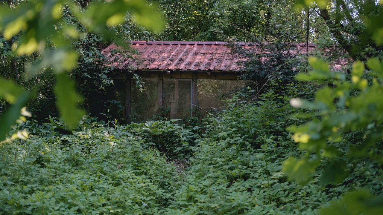 Behind The Garden Gate - 剧照