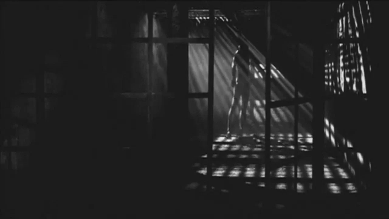 Zoetrope - 剧照