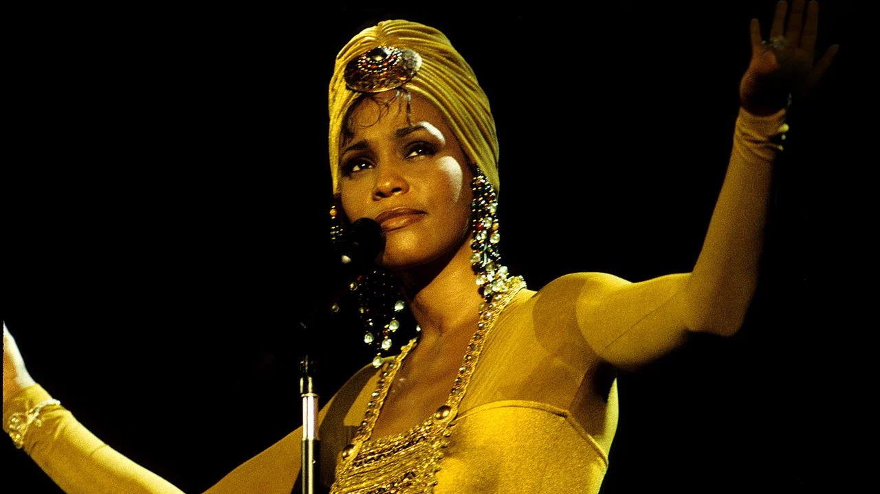 Whitney Houston Live：Concert For A New South Africa - 剧照