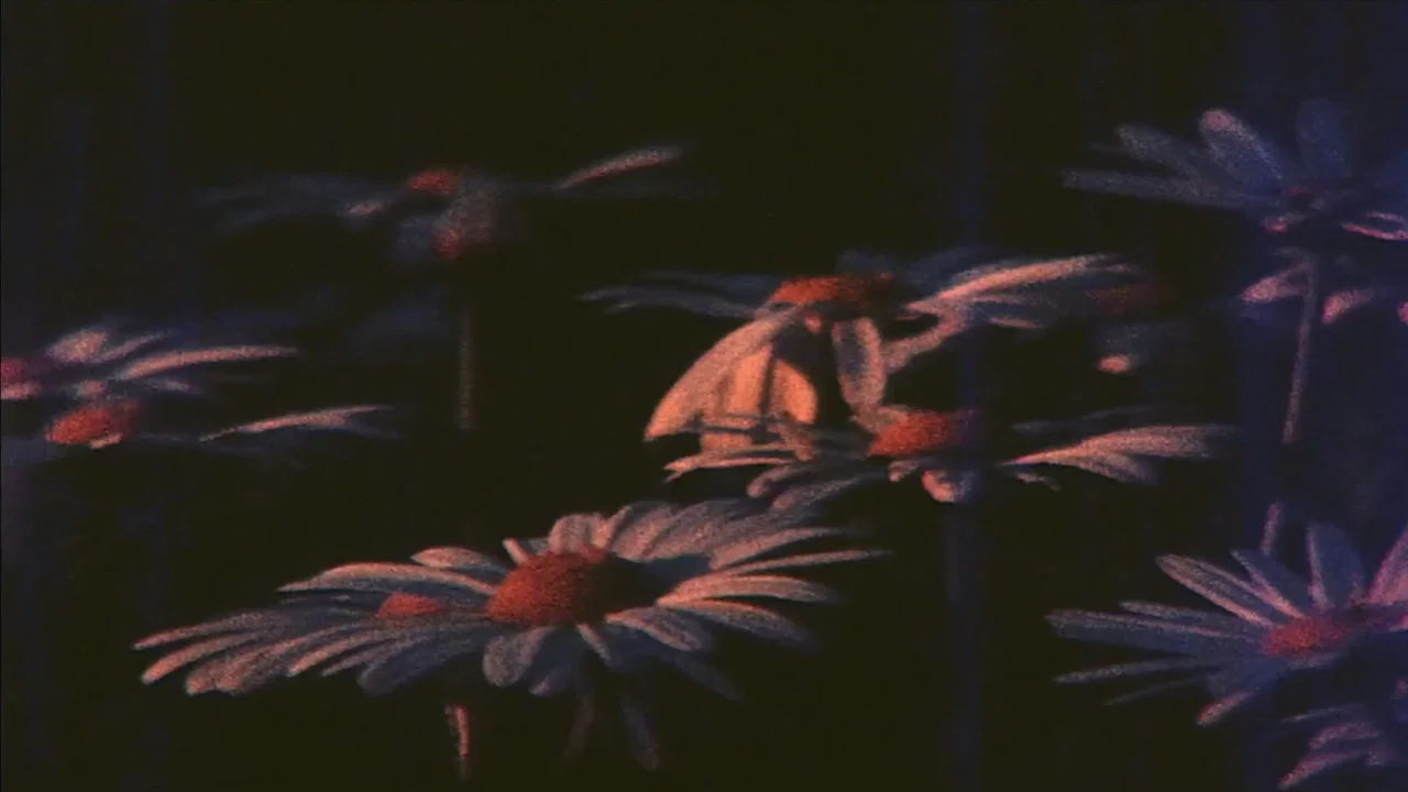 Ofrenda - 剧照