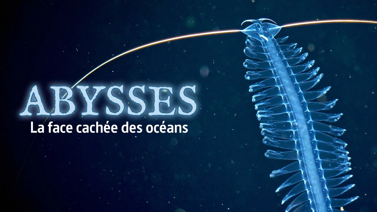 Abysses, la face cach&eacute;e des oc&eacute;ans - 剧照