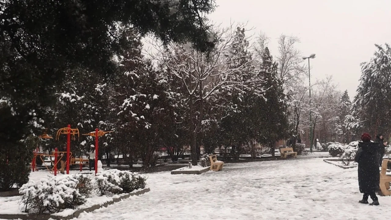 این است زندگی - 剧照