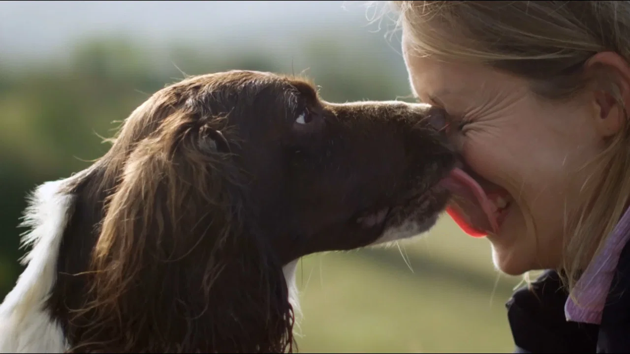萌犬秘闻 - 剧照