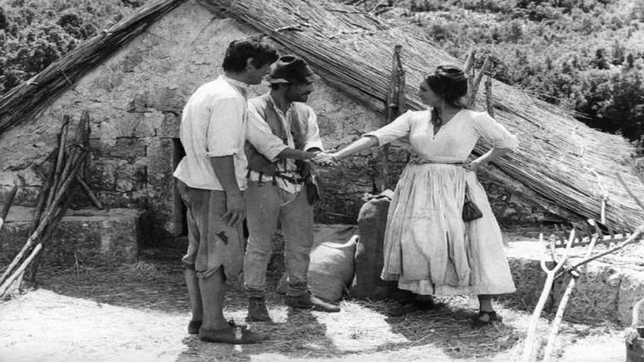 La Bet&igrave;a ovvero in amore, per ogni gaudenza, ci vuole sofferenza - 剧照