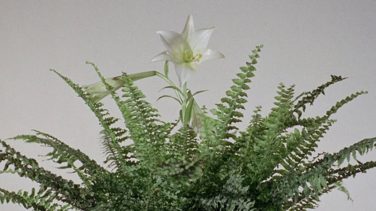 Diptyque - 剧照