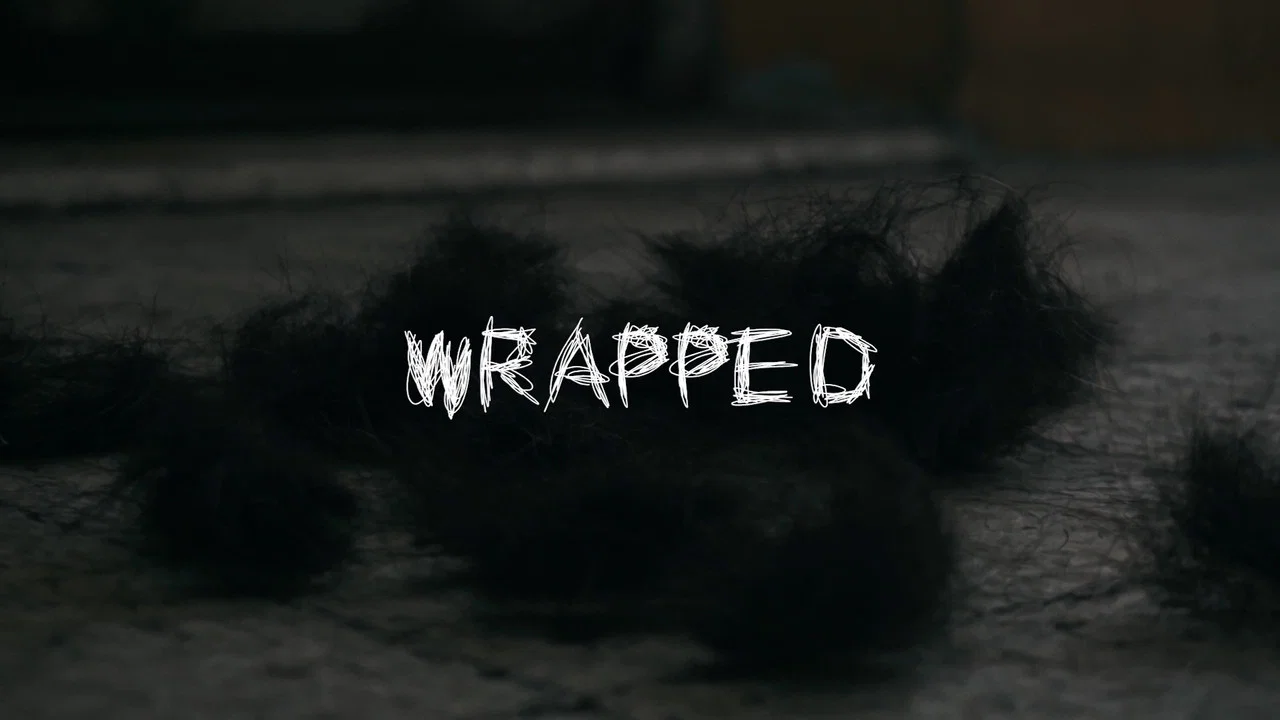WRAPPED - 剧照