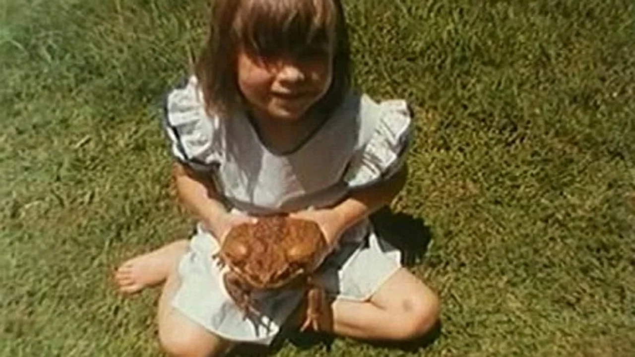 Cane Toads: An Unnatural History - 剧照