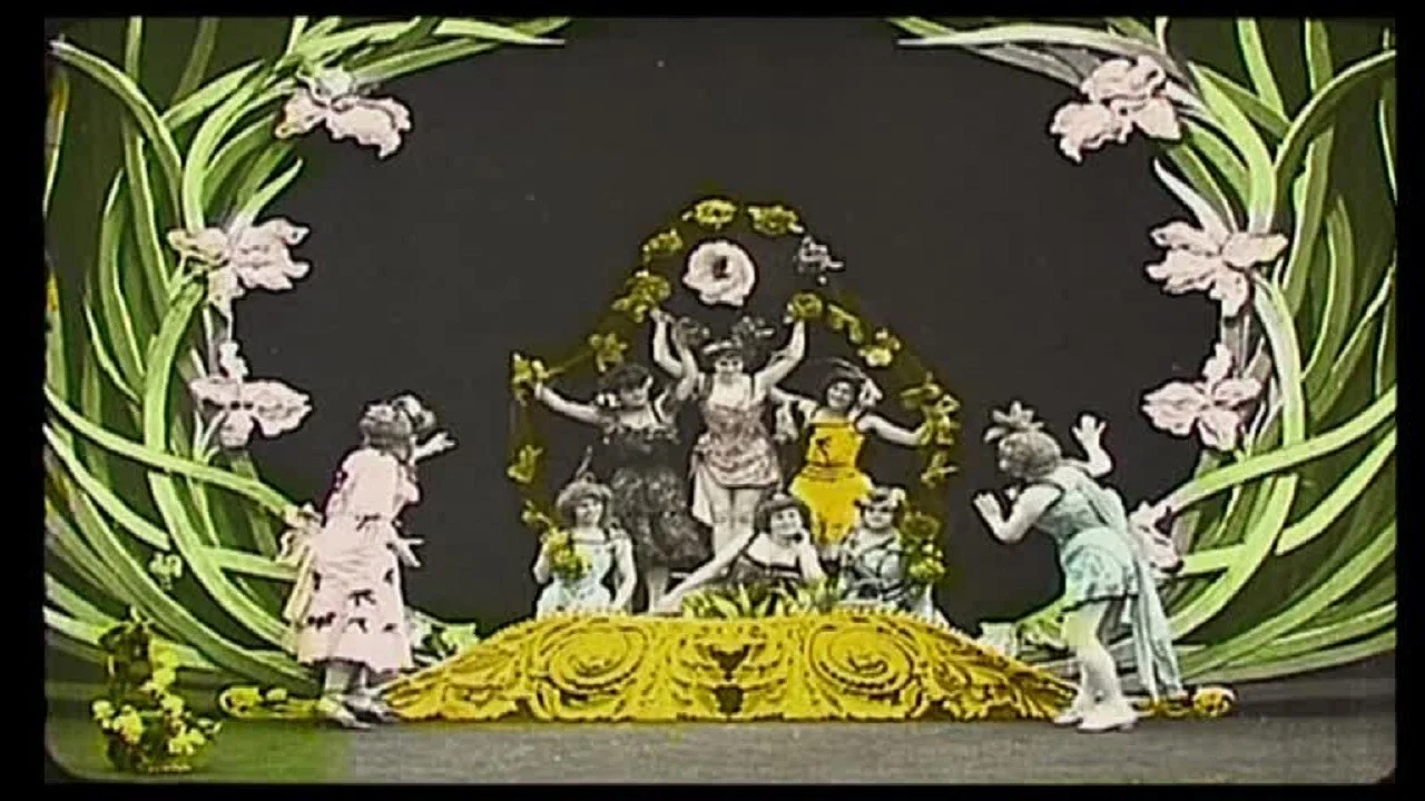 郁金香 - 剧照