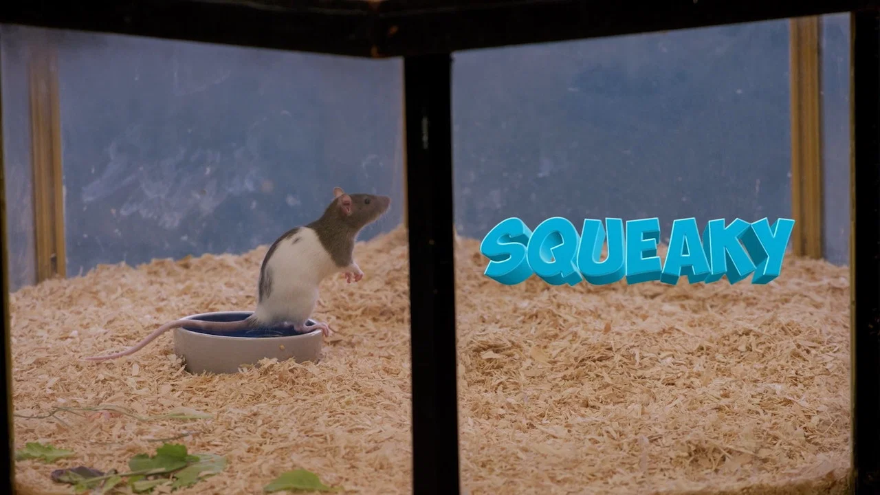 Squeaky the Rat - 剧照