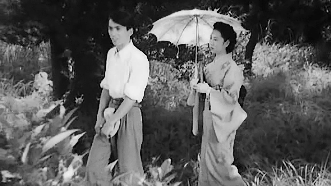 武藏野夫人 - 剧照