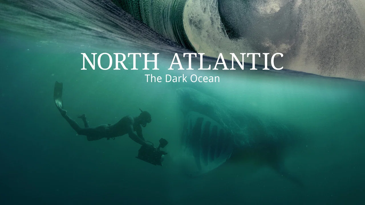 North Atlantic: The Dark Ocean - 剧照
