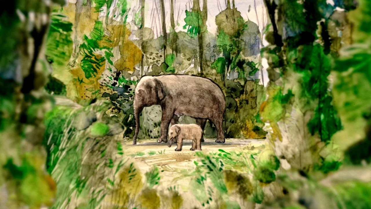 La Tragique Histoire de Fritz l'&eacute;l&eacute;phant - 剧照