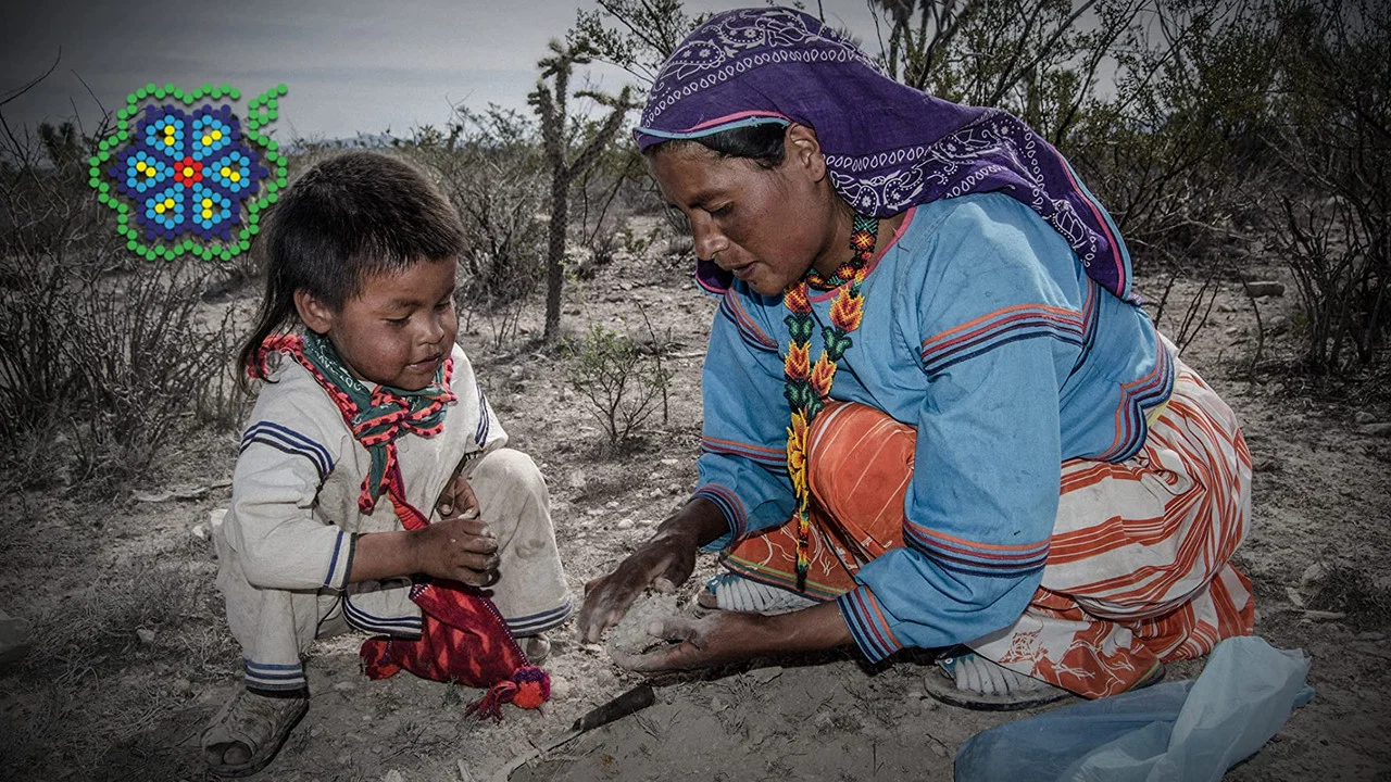Huicholes: Los &Uacute;ltimos Guardianes del Peyote - 剧照