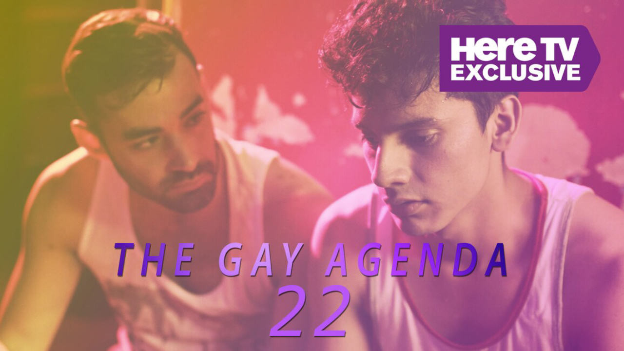 The Gay Agenda 22 - 剧照