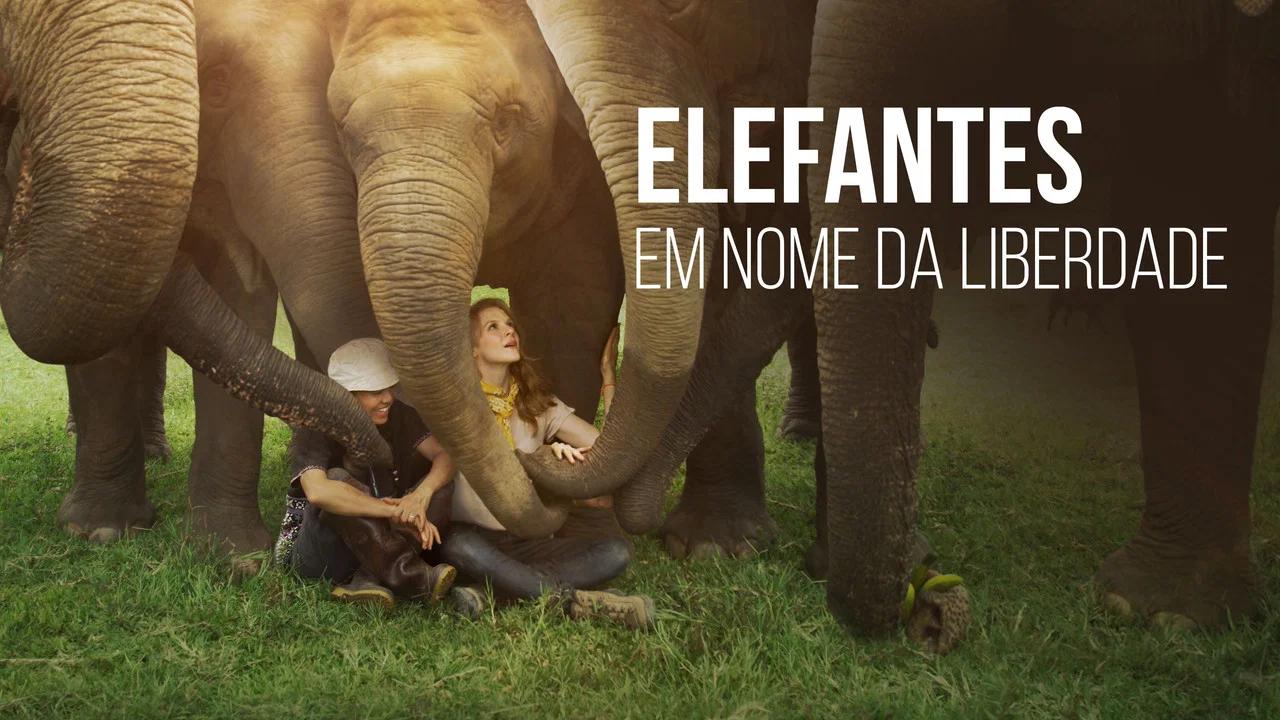 Love & Bananas: An Elephant Story - 剧照