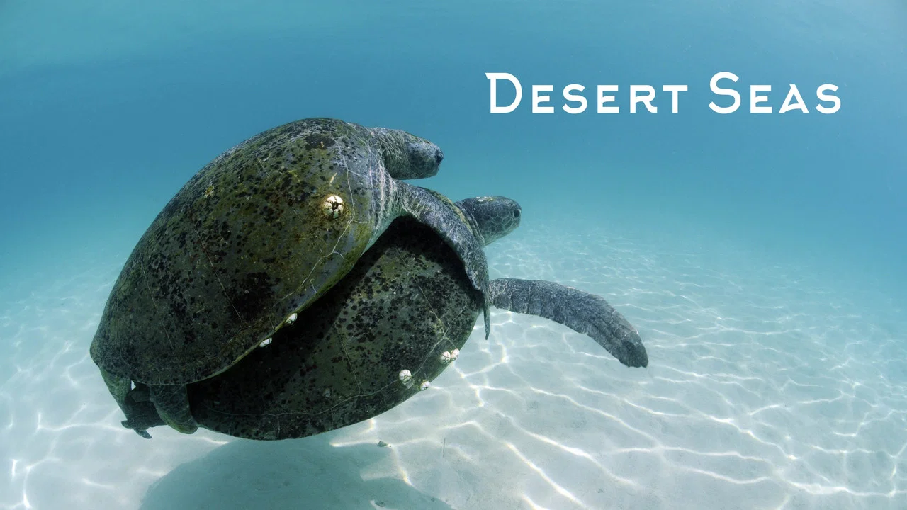 Desert Seas - 剧照