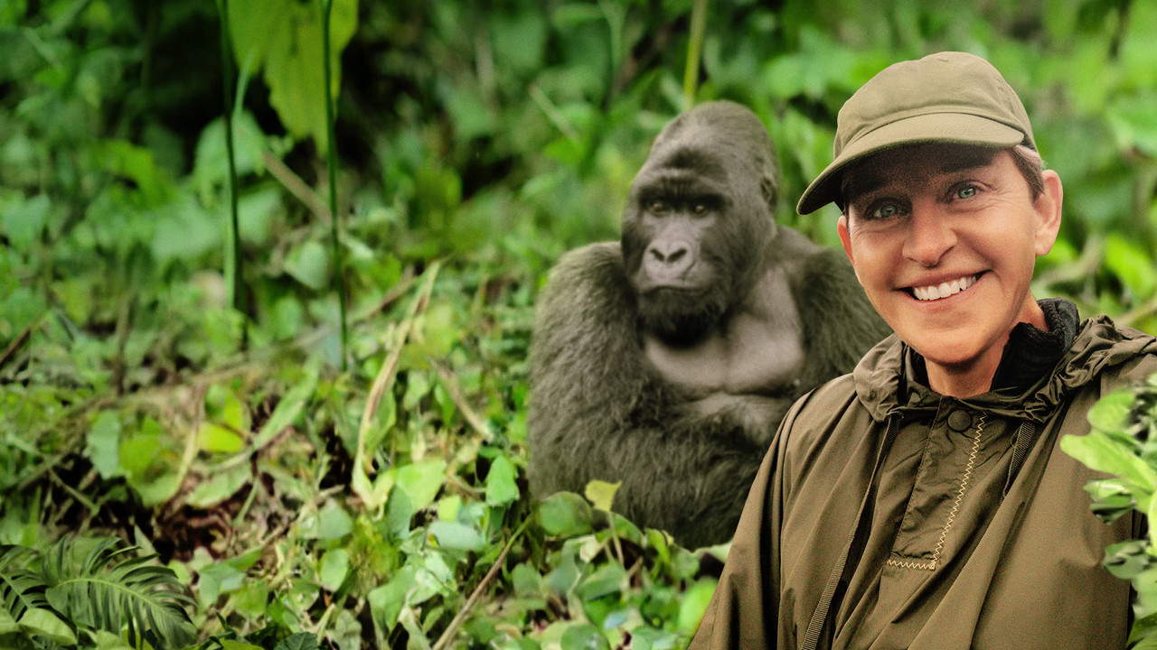 Saving the Gorillas: Ellen's Next Adventure - 剧照