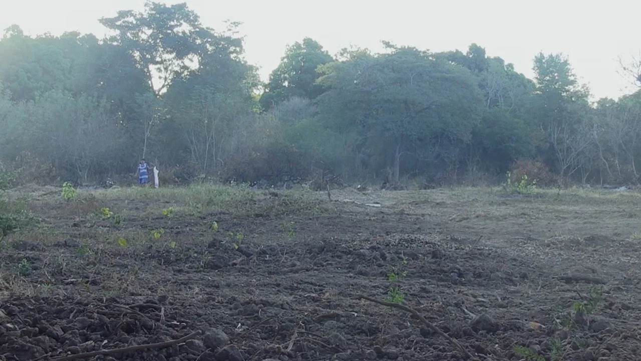 Siempre Andamos Caminando - 剧照