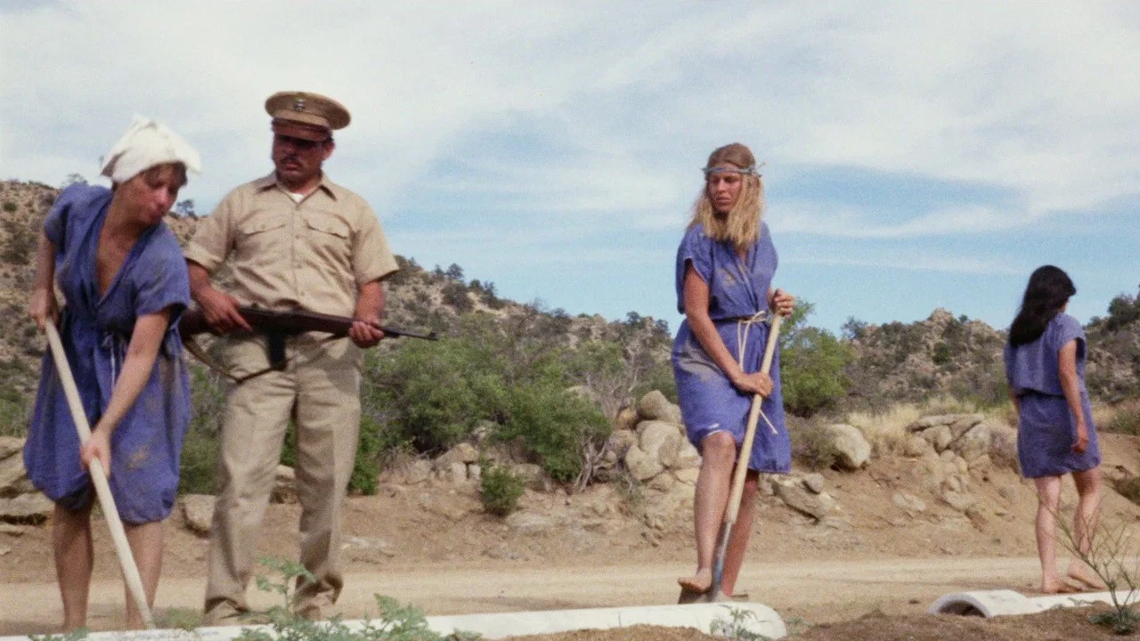 我唾弃你的尸体 - 剧照