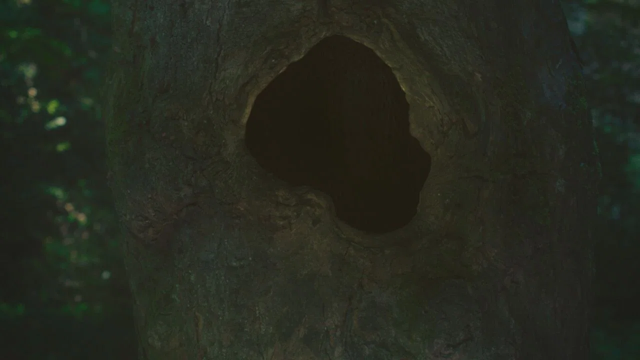 Earthen - 剧照