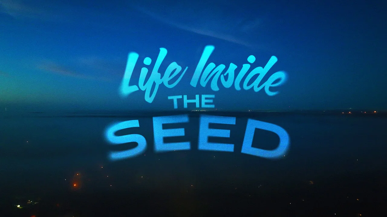 Life Inside the Seed - 剧照