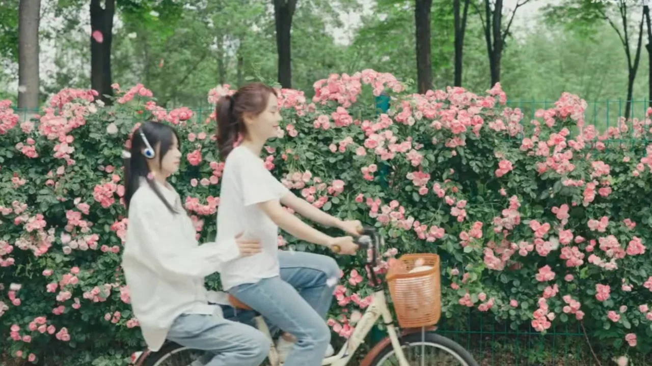 You Who Are Lost With the Wind - 剧照