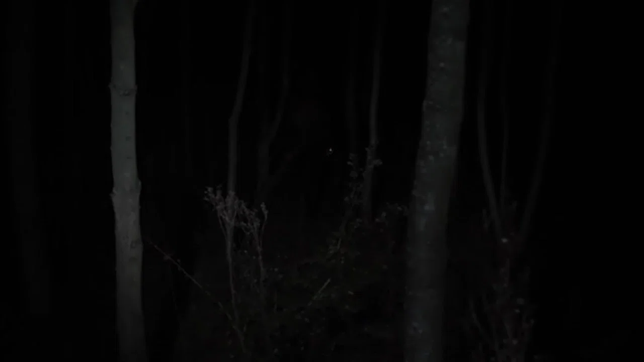 尽管黑夜 - 剧照
