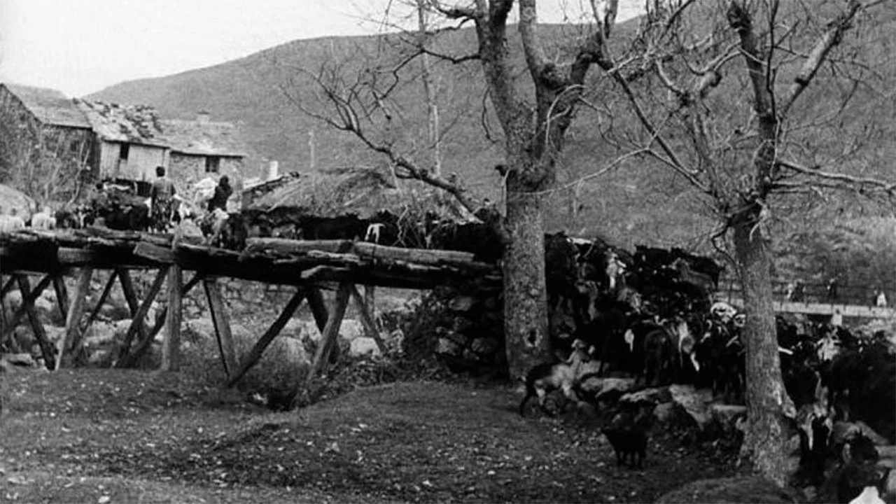 Carta de Sanabria - 剧照