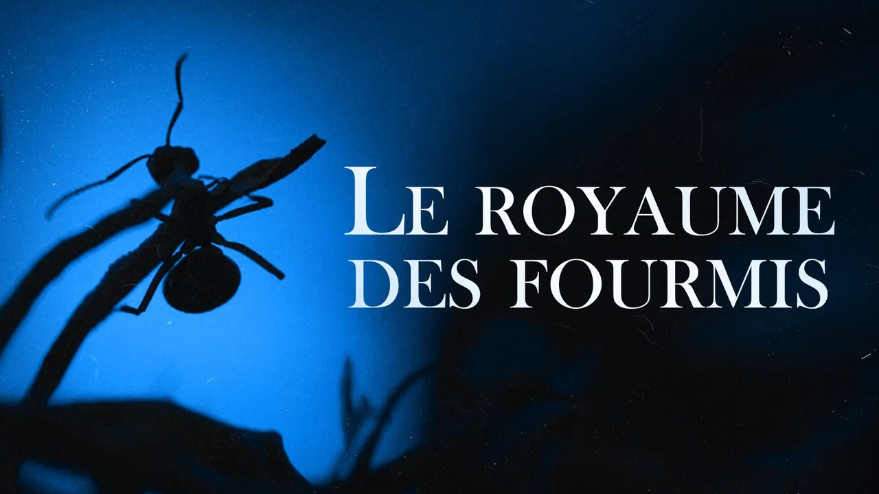 Le Royaume des fourmis - 剧照