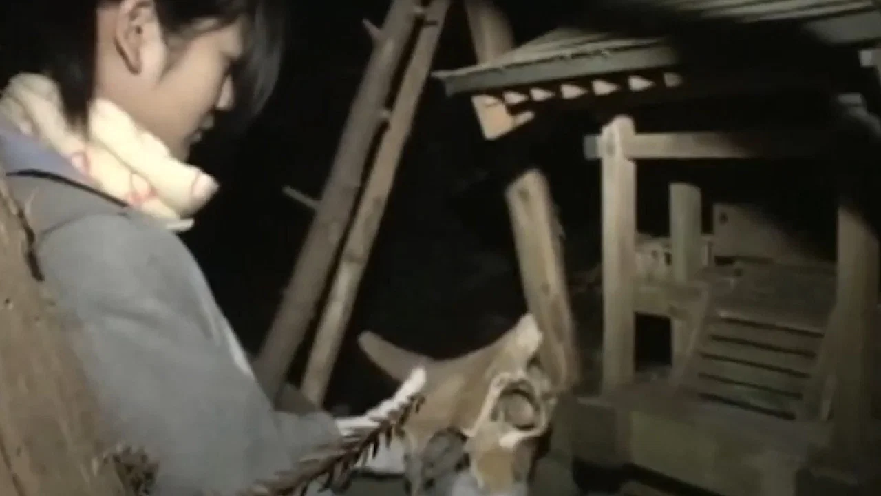 ほんとにあった！呪いのビデオ The Movie 2 - 剧照