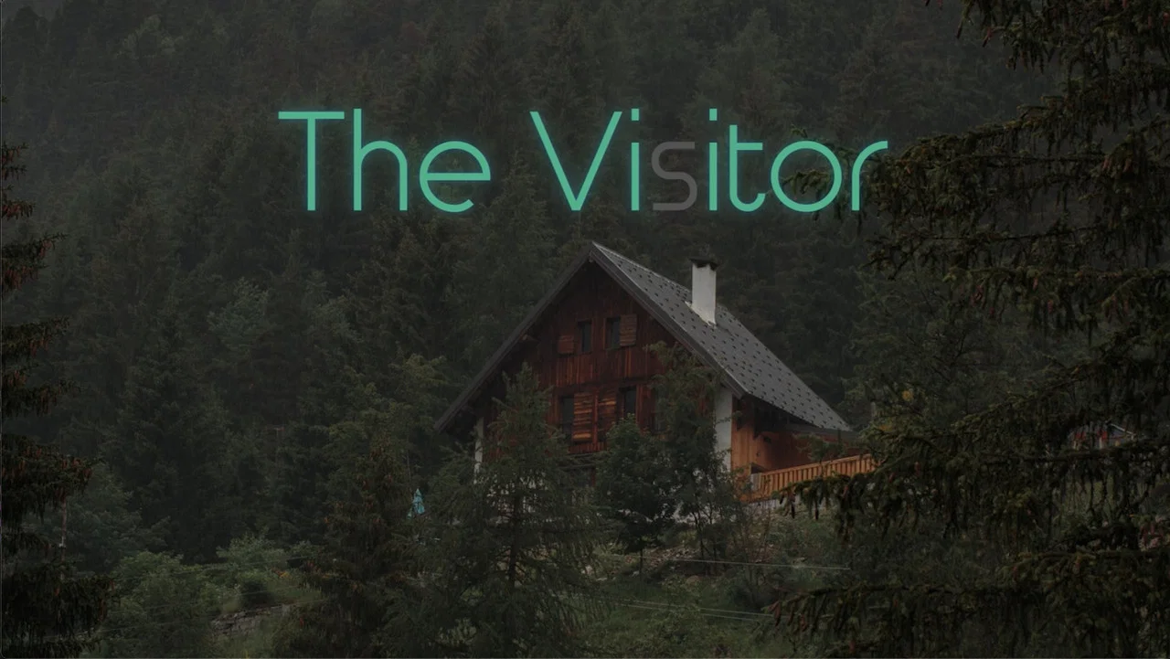 The Visitor - 剧照