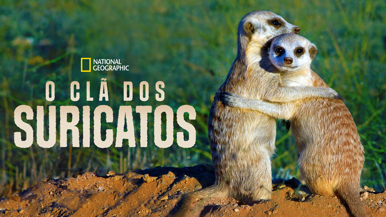 Clan of the Meerkat - 剧照