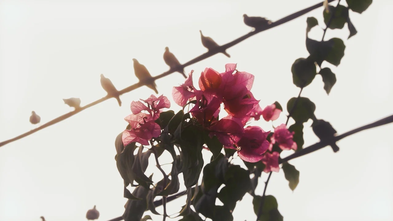 Out of Time - 剧照