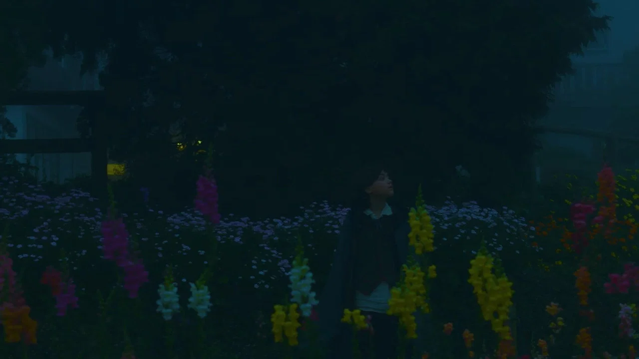 O Bosque dos Son&acirc;mbulos - 剧照