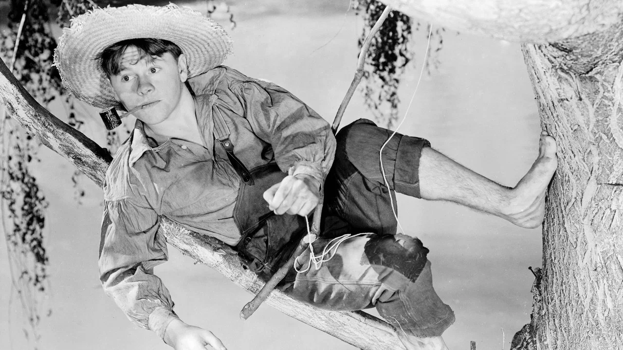The Adventures of Huckleberry Finn - 剧照