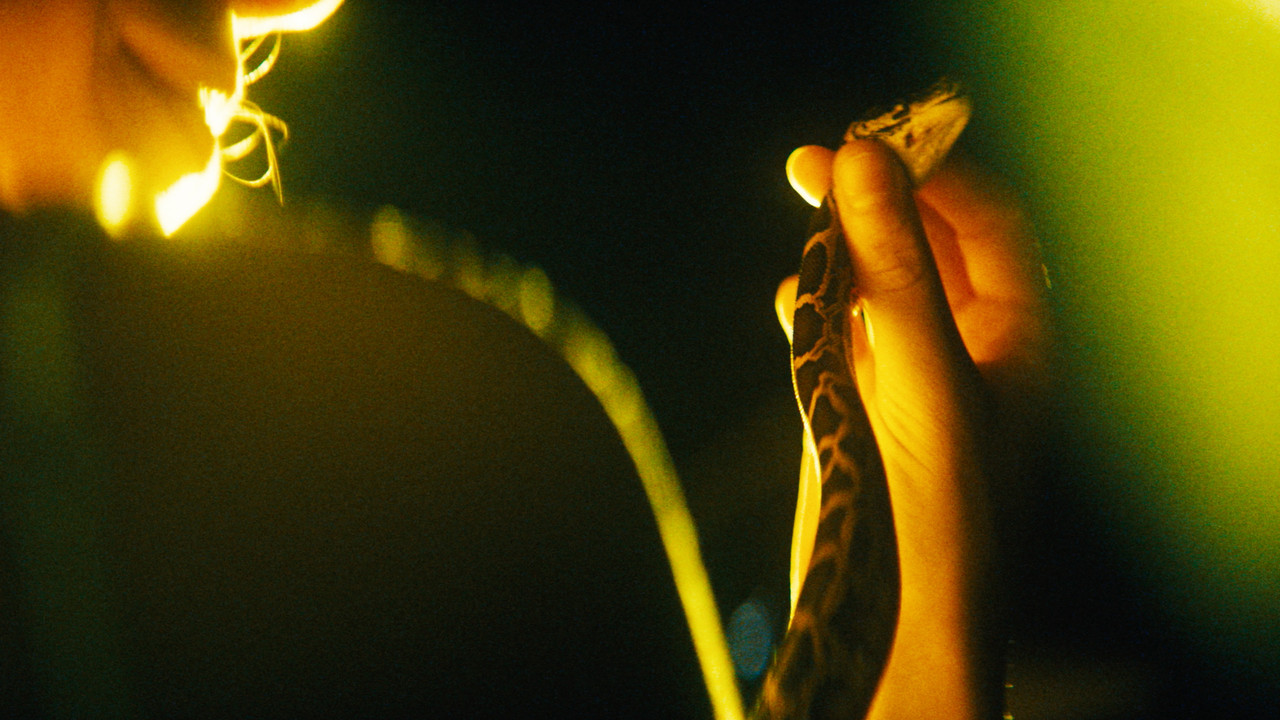 The Python Hunt - 剧照