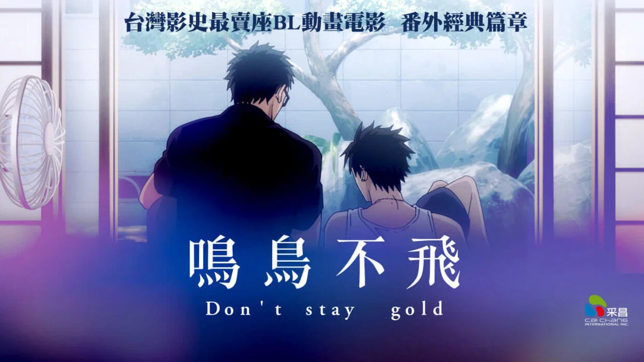 鸣鸟不飞：Don't stay gold - 剧照