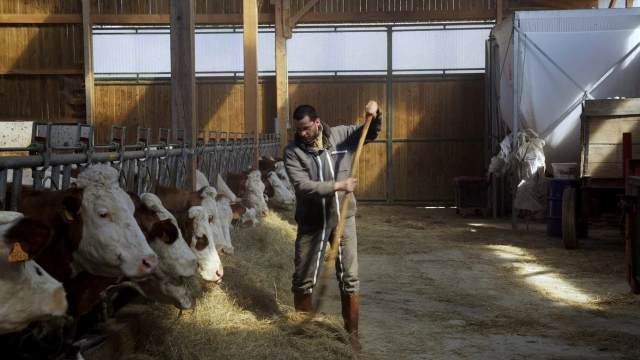 Cyrille, agriculteur, 30 ans, 20 vaches, du lait, du beurre, des dettes - 剧照