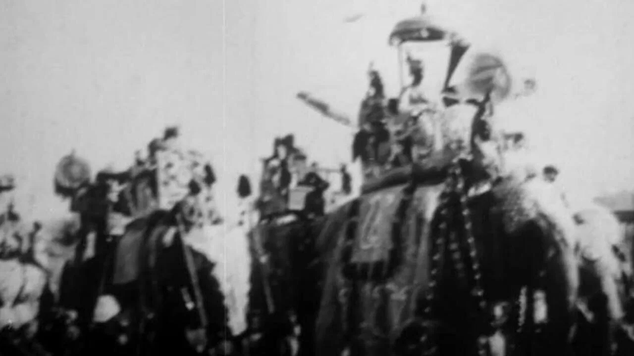 Procession of Elephants with Howdahs - India - 剧照