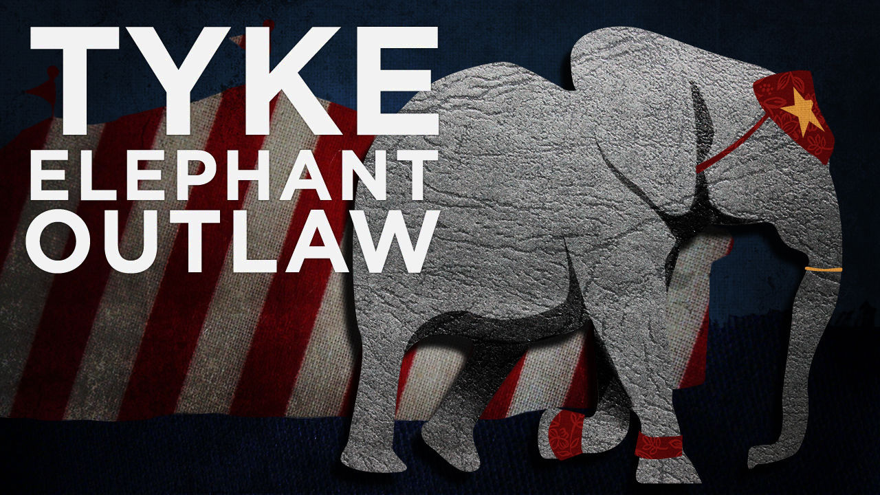 Tyke Elephant Outlaw - 剧照