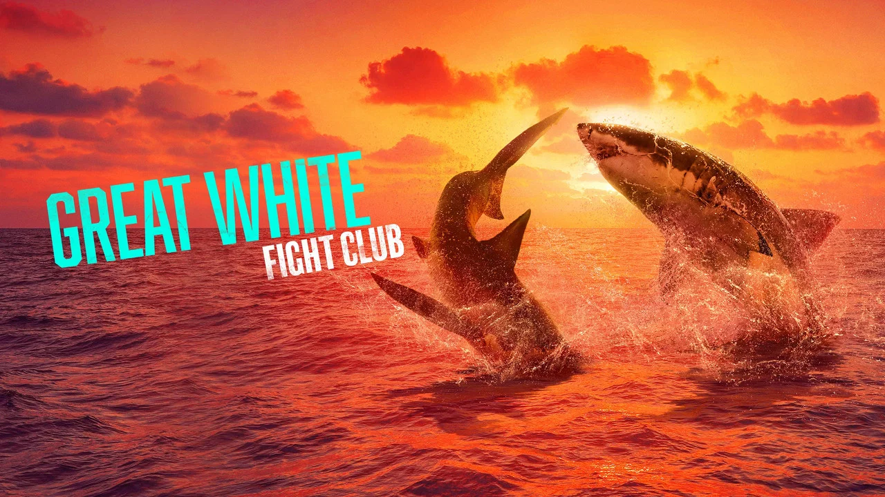 Great White Fight Club - 剧照