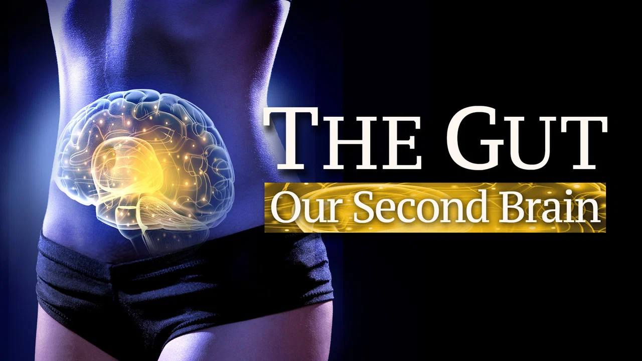 The Gut: Our Second Brain - 剧照