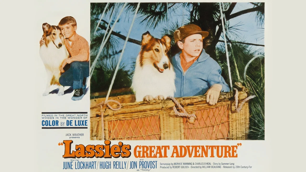 Lassie's Great Adventure - 剧照