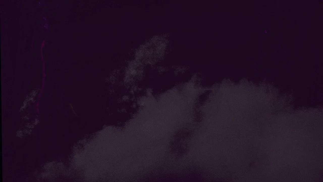 Carter - 剧照