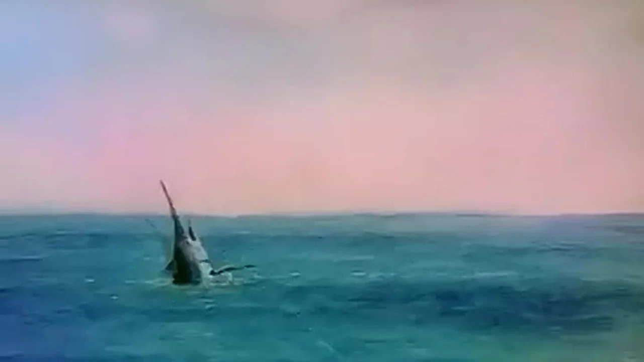 老人与海 - 剧照