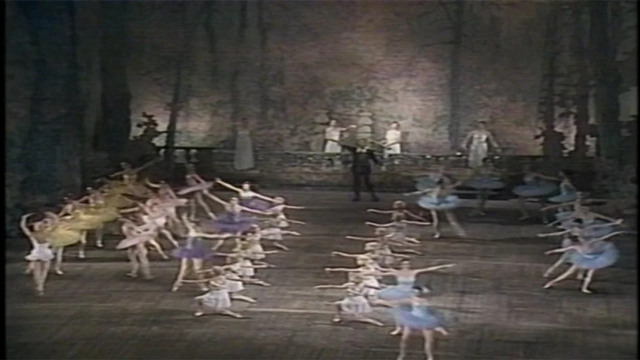 Don Quixote (Kirov Ballet) - 剧照