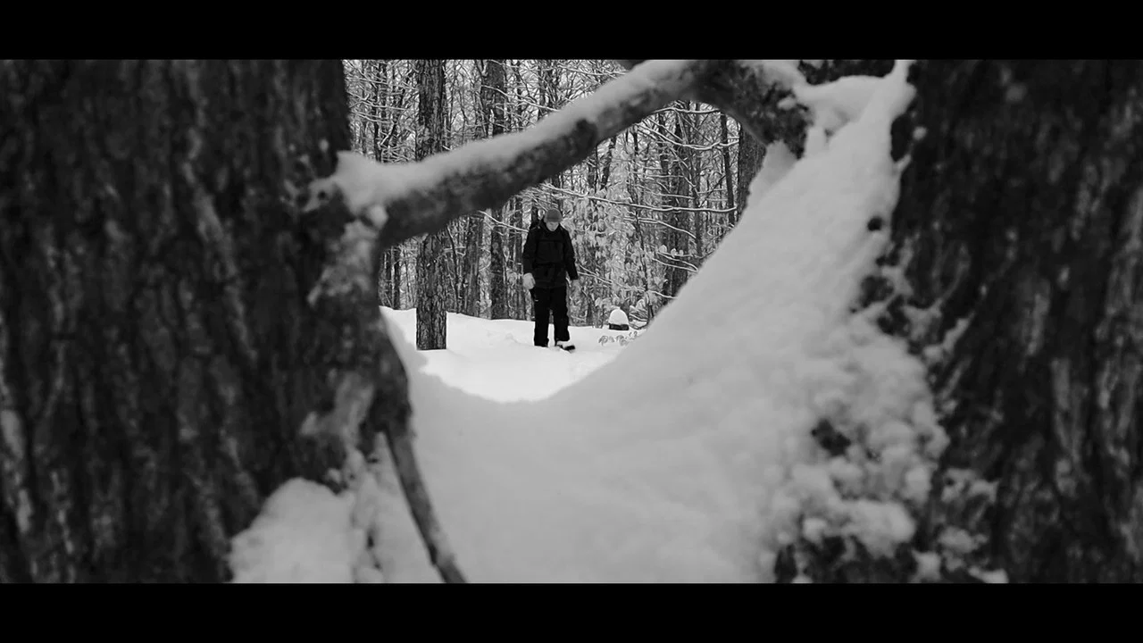 Echoes Of Ivory - 剧照