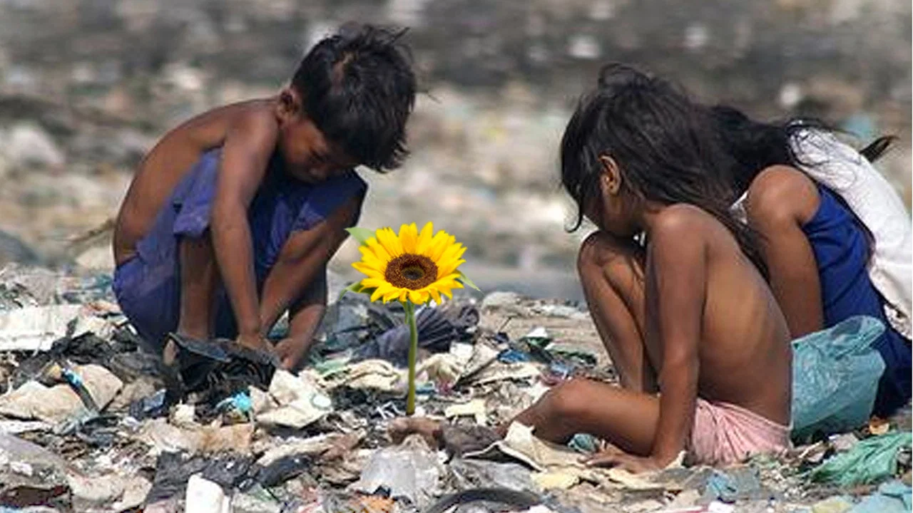 Ilha das Flores - 剧照