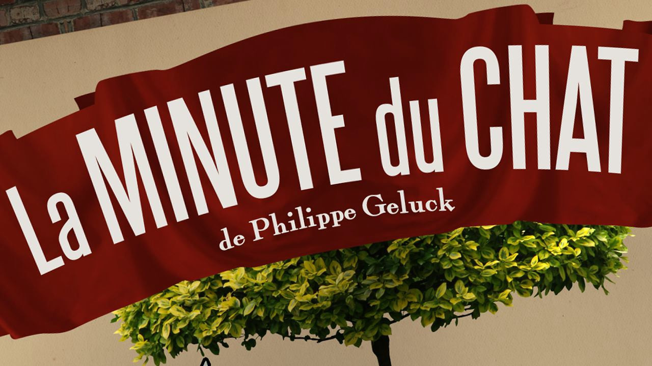 La Minute du chat de Philippe Geluck - 剧照